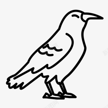 乌鸦体鸟车图标图标