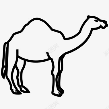 骆驼体骆驼类沙漠动物图标图标
