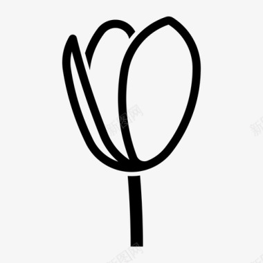 郁金香花球茎图标图标