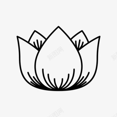 莲花秘传花图标图标