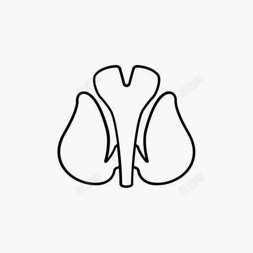 甲状腺身体医学图标svg_新图网 https://ixintu.com 医学 器官 甲状腺 身体