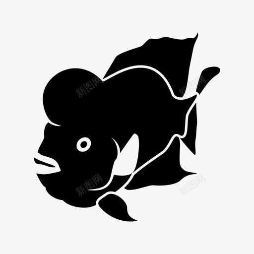 鱼动物水族馆图标svg_新图网 https://ixintu.com 动物 水族馆 水生 花角 鱼