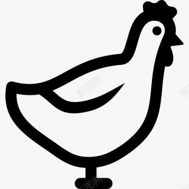 母鸡鸡农场图标图标