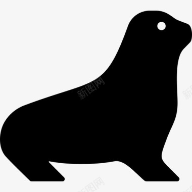 海豹动物哺乳动物图标图标