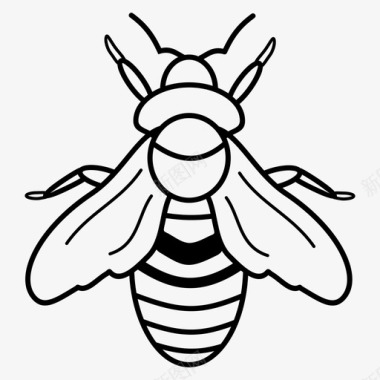 蜜蜂蜜蜂养殖嗡嗡叫图标图标