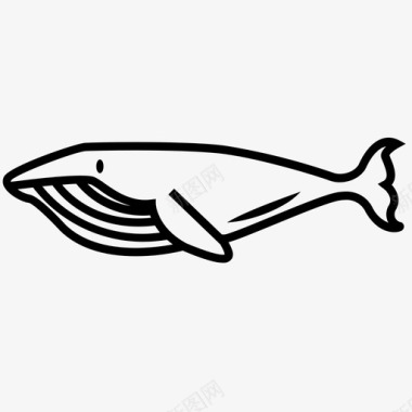 鲸体须鲸鲸目动物图标图标