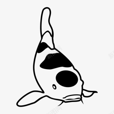 锦鲤鲤鱼淡水鱼图标图标