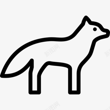 狐狸动物北极图标图标