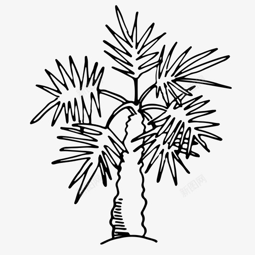 棕榈树叶棕榈树图标svg_新图网 https://ixintu.com 树叶 棕榈 棕榈树 植物 热带 热带植物