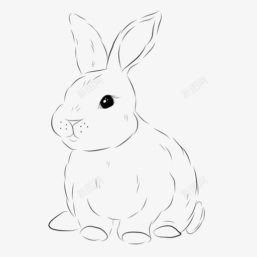 兔子可爱装饰性图标svg_新图网 https://ixintu.com 兔子 可爱 可爱的小兔子 复活节 绒毛 装饰性