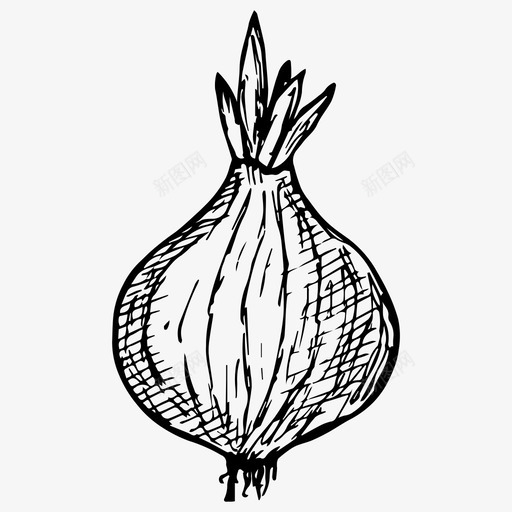 洋葱食物手绘图标svg_新图网 https://ixintu.com 手绘 洋葱 素描 蔬菜 食物 黑白洋葱