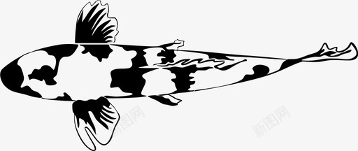 锦鲤鱼动物鳃图标图标