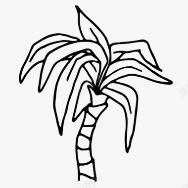 棕榈树叶棕榈树图标图标