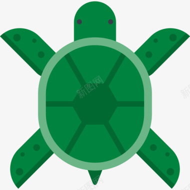 turtle图标