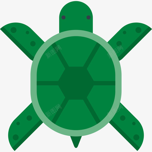 turtlesvg_新图网 https://ixintu.com turtle