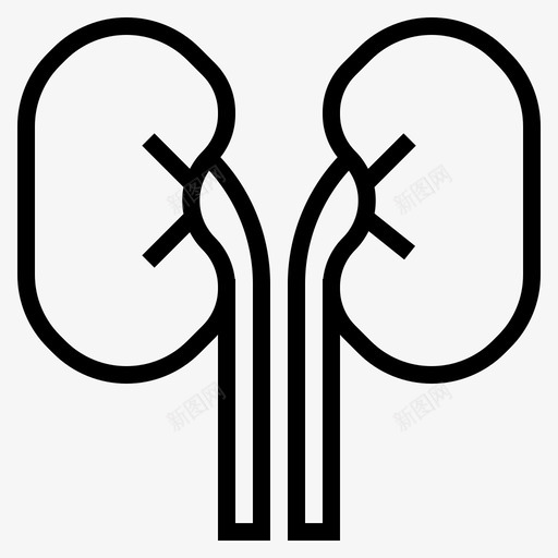 肾脏医疗器官图标svg_新图网 https://ixintu.com 医疗 器官 肾脏