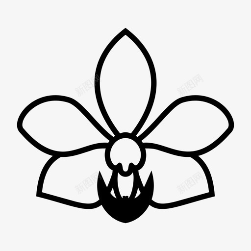 兰花香蒲兰科图标svg_新图网 https://ixintu.com 兰科 兰花 植物 香蒲