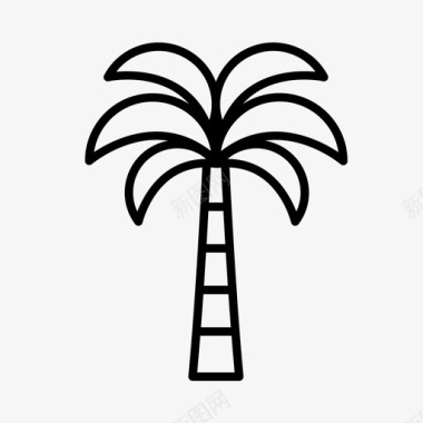 棕榈树非洲旅游图标图标
