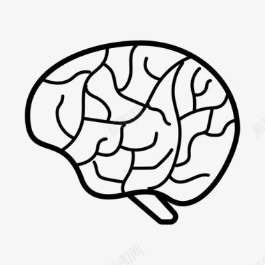 大脑解剖学头脑风暴图标图标