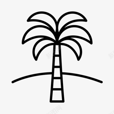 棕榈树气候沙漠图标图标