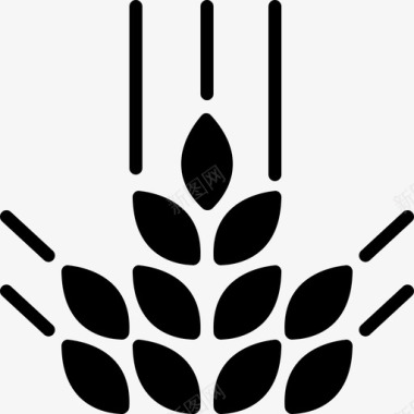 谷物农业植物图标图标