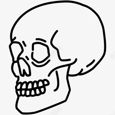 头骨死亡之首骷髅头图标图标