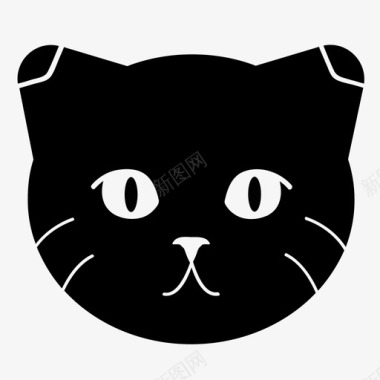 苏格兰折叠动物猫图标图标
