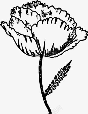 罂粟花自然夏季图标图标