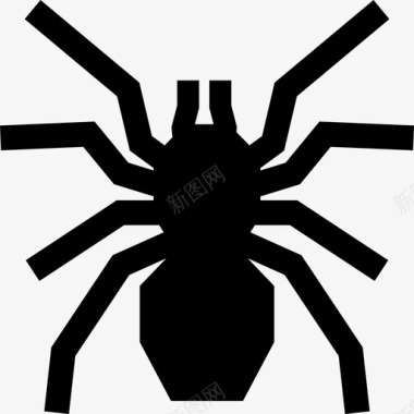 狼蛛昆虫蜘蛛图标图标