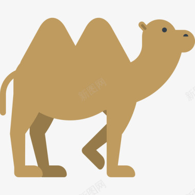 camel图标