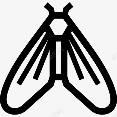蛾子鳕鱼玉米螟图标图标