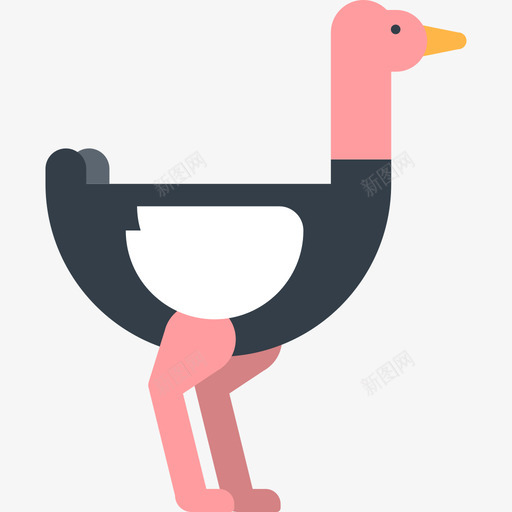 ostrichsvg_新图网 https://ixintu.com ostrich