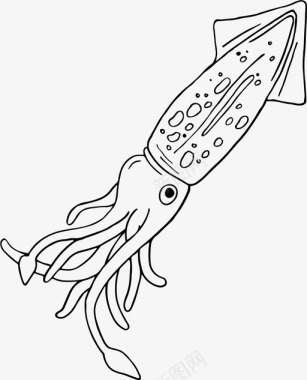 鱿鱼鱼海洋动物图标图标