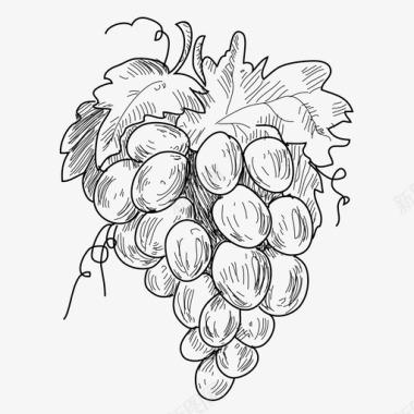 手绘葡萄美味水果图标图标