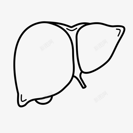 肝脏解毒保健图标svg_新图网 https://ixintu.com 人体解剖 保健 内脏 肝脏 解毒
