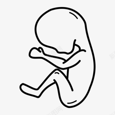 4个月人类胎儿出生前胚胎图标图标