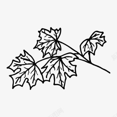 树枝树叶自然图标图标