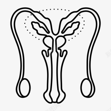 男性生殖系统内脏生殖系统图标图标