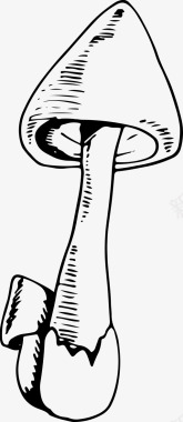 蘑菇食物森林图标图标