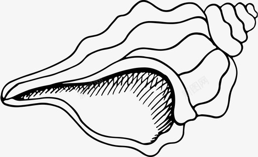 贝壳动物群海洋动物图标svg_新图网 https://ixintu.com 动物群 水下 海洋世界 海洋动物 贝壳