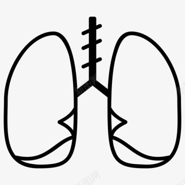 肺解剖学人图标图标