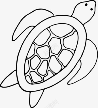 海龟鱼海洋动物图标图标