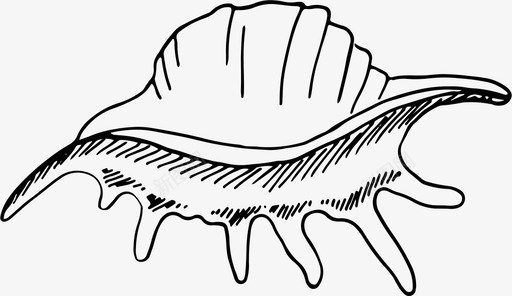 贝壳动物群海洋动物图标图标