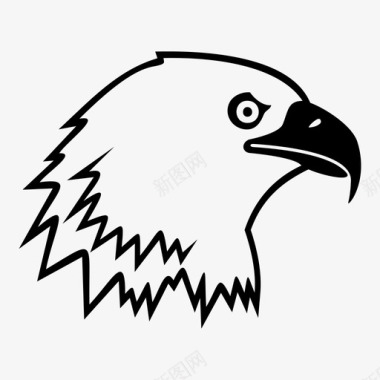 秃鹰动物鸟图标图标