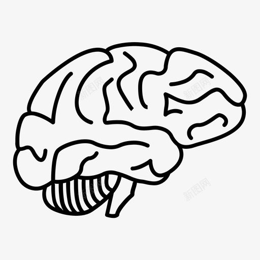 大脑身体天才图标svg_新图网 https://ixintu.com 器官 大脑 天才 聪明 记忆 身体