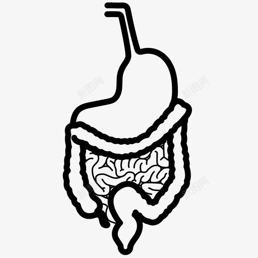 消化系统结肠消化图标svg_新图网 https://ixintu.com 医学 消化 消化系统 消化道 结肠 肠 胃