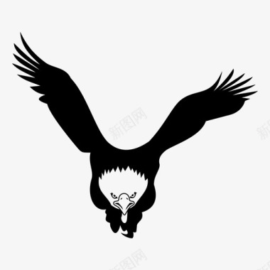 秃鹰动物鸟图标图标