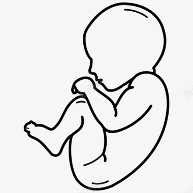 89个月人类胎儿8个9个月人类胎儿出生前图标图标