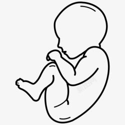 胎儿脑部发育89个月人类胎儿8个9个月人类胎儿出生前图标高清图片