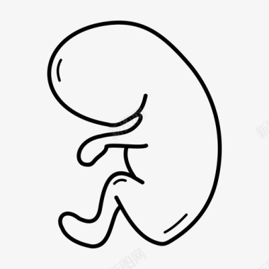 3个月人类胎儿出生前胚胎图标图标